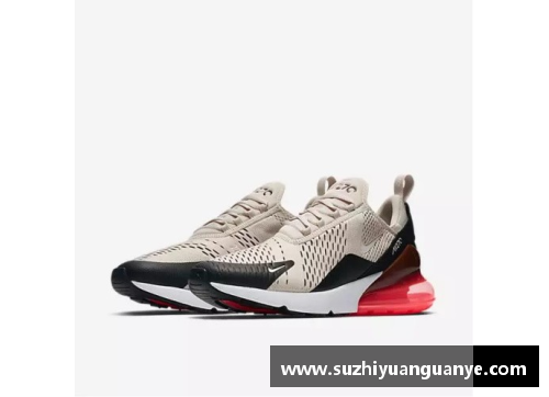 詹姆斯被撕破的球衣卖多少钱？(2018版air max 270鞋底有logo吗？)